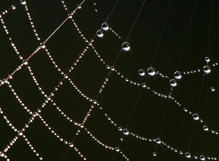 Karma as Active Resistance