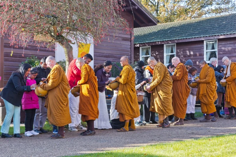 Mindfulness: A Natural State, Not a Forced Practice