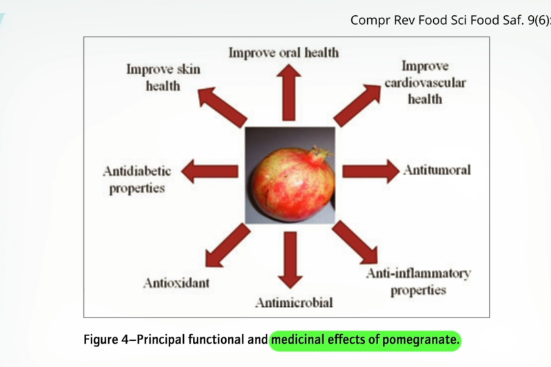 Pomegranates Under Scrutiny: A Deep Dive into Health Claims and Scientific Evidence