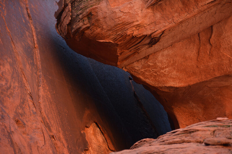 The Brahmaviharas: A Complete Path to Awakening or a Foundation for Deeper Practice?