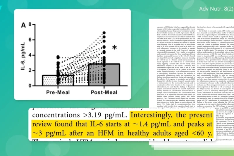 The Explosive Impact of Pro-Inflammatory Meals: How a Single Meal Can Double Inflammation Markers Within Hours