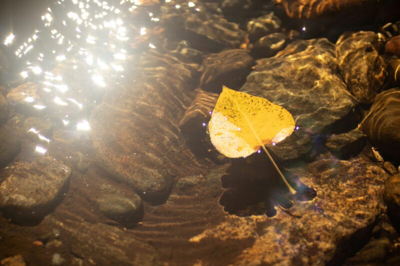 The Flowing Nature of Being Nice