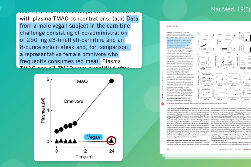 The Gut Microbiome: Plant-Based Diets and the Promise of Fecal Transplants in Lowering TMAO Levels