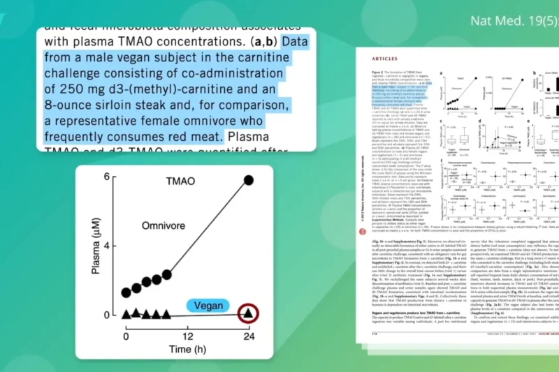 The Gut Microbiome’s Role in TMAO Production: Can Fecal Transplants Offer a Shortcut to Health?