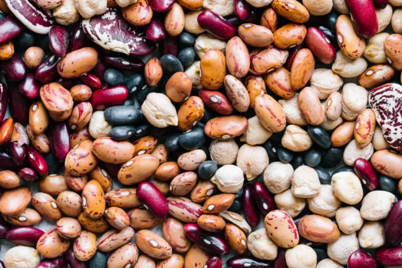 The Humble Bean: A Daily Cup Promises Significant Gains in Metabolic and Heart Health