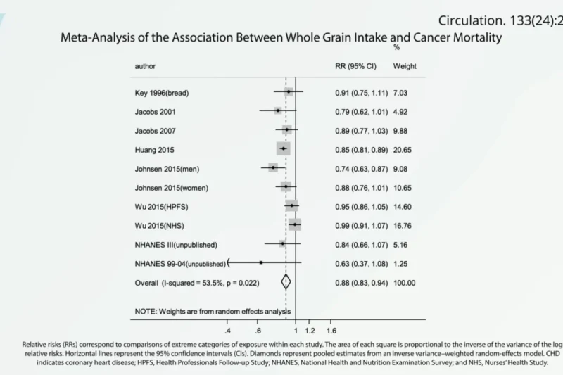 The Perilous Presence: Unpacking the Concerns Surrounding Ochratoxin in Our Diet