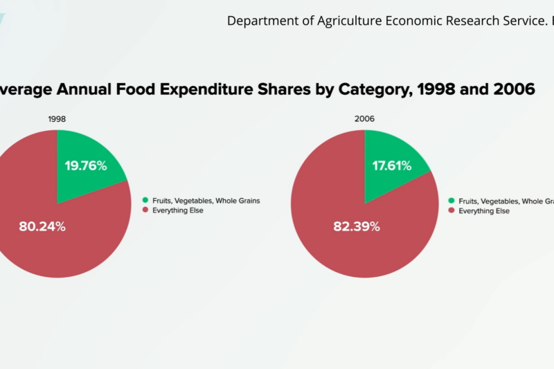 The Phytochemical Index: A Novel Metric for Assessing Diet Quality and Its Profound Health Implications