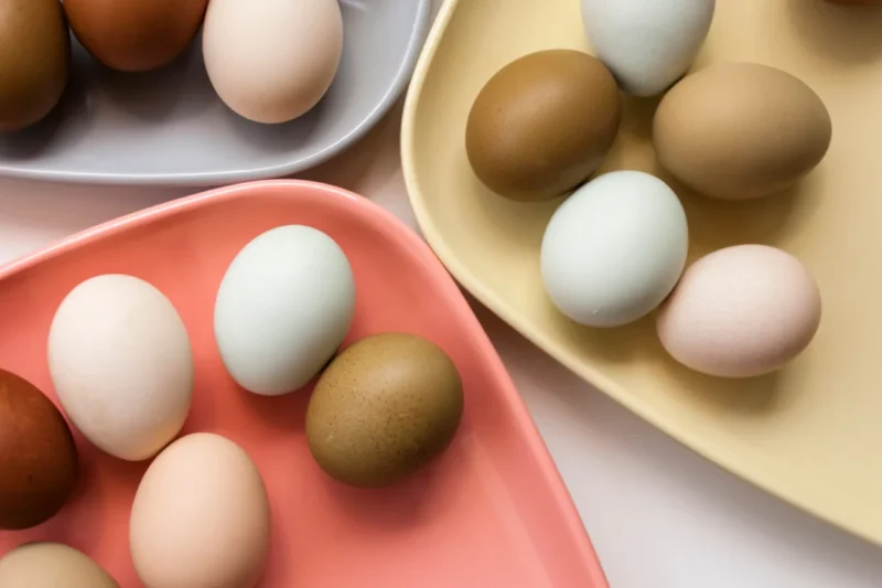 The Surprising Health Benefits of Eggshell Membrane: Beyond the Shell