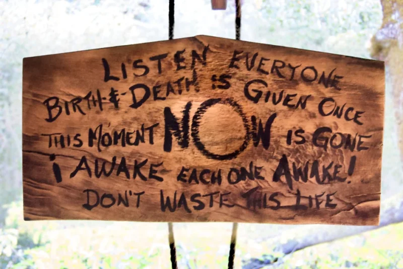 The Heart of Impermanence: Fire Engulfs Historic Tassajara Zen Mountain Center Zendo, Sparking Reflection on Resilience and Renewal