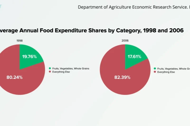 The Phytochemical Index: A Novel Approach to Quantifying Dietary Health and Its Far-Reaching Implications