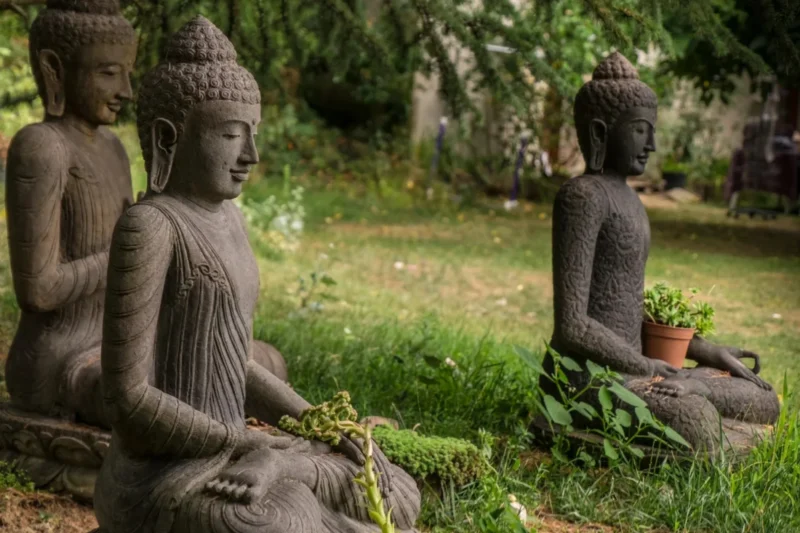 A Journey of Self-Discovery Through Loss, Resilience, and Buddhist Practice
