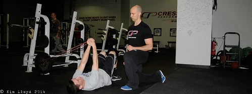 Five Critical Pillars Defining Professional Excellence in the Strength and Conditioning Industry