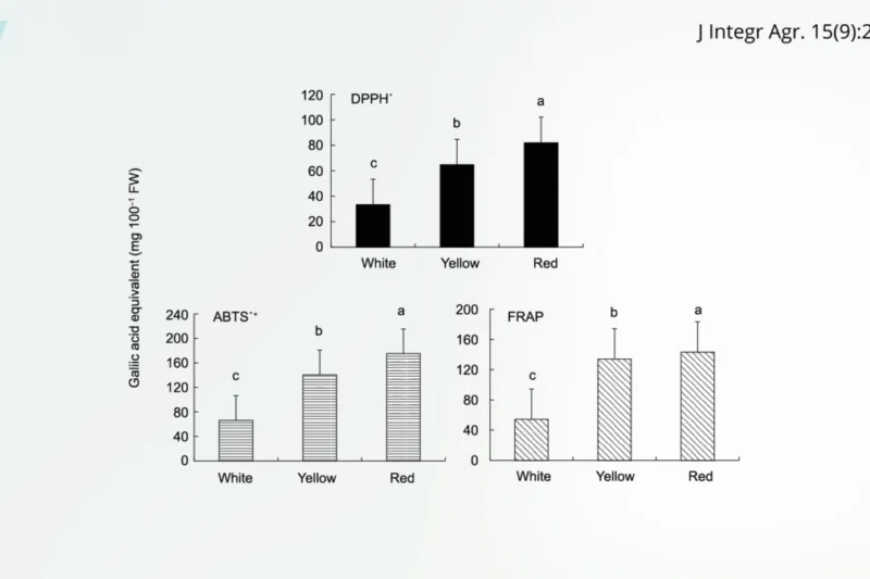 The Potential Health Benefits of Onions: A Deep Dive into Randomized Controlled Human Trials