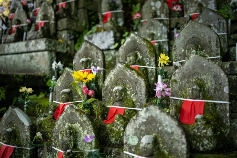 Of Mud and Lotuses: Dreaming the Lives of Buddhist Women