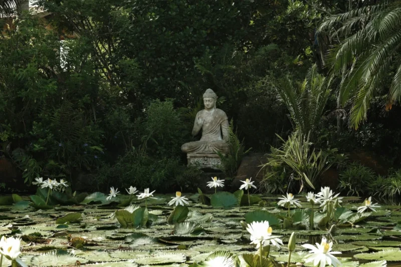 The Enduring Cycle of Suffering and the Transformative Power of Mindfulness