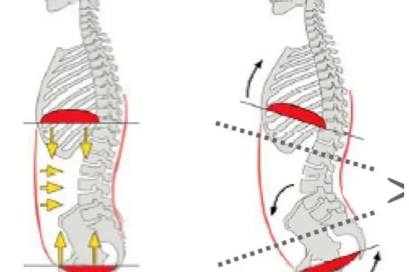 The Evolving Paradigm of Postpartum Recovery Integrating Progressive Strength Training and Respiratory Mechanics
