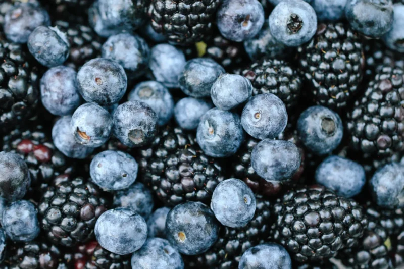The Gut Microbiome and Polyphenols: A Deep Dive into Exercise Recovery and Performance