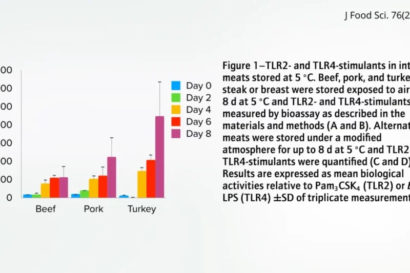 The Immediate Impact of High-Fat Meals on Arterial and Pulmonary Health