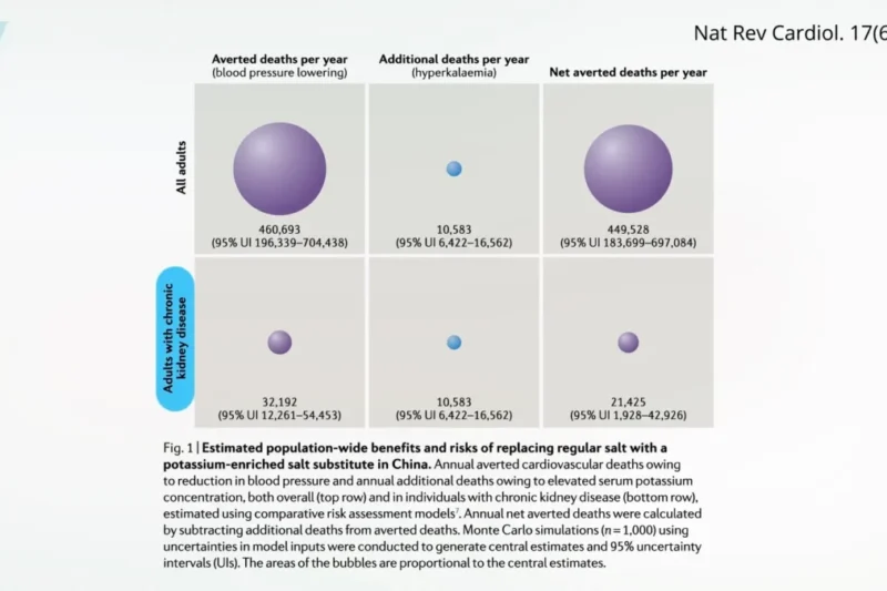 The Role of Potassium in Blood Pressure Management and Kidney Health