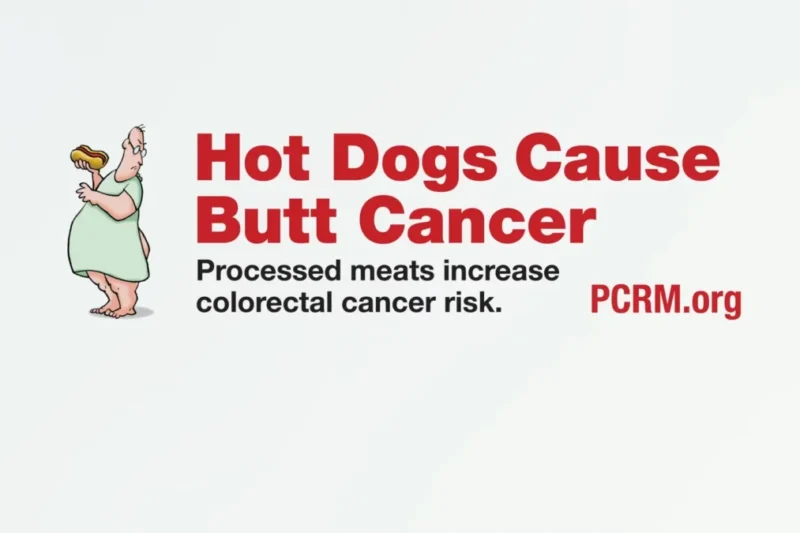 The Secret to Public Health’s Triumph: How the Trans Fat Ban Reshaped the Food Industry