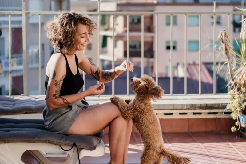 The Depth of Our Furry Companionship: New French Study Unveils How Pet Attachment Reflects Our Lives