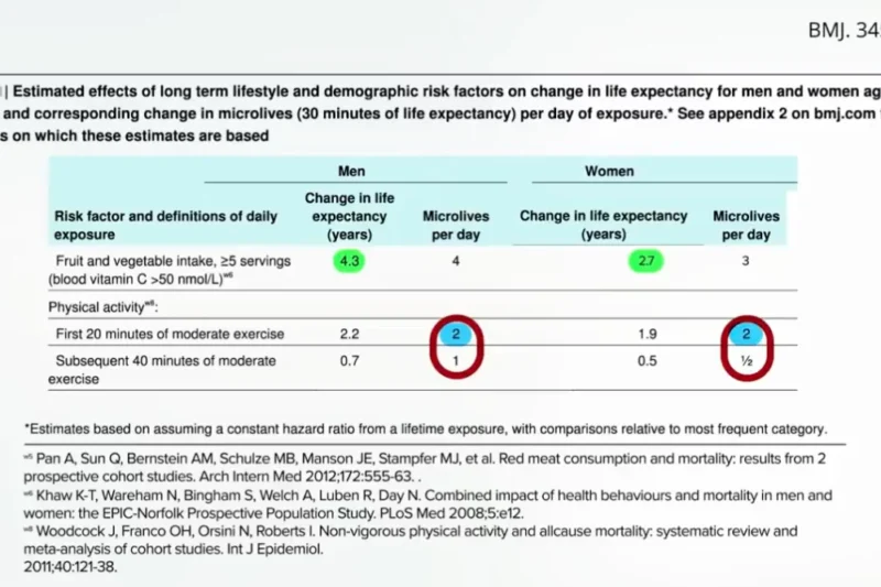 The Hidden Toll: Processed Meats and the Global Health Crisis