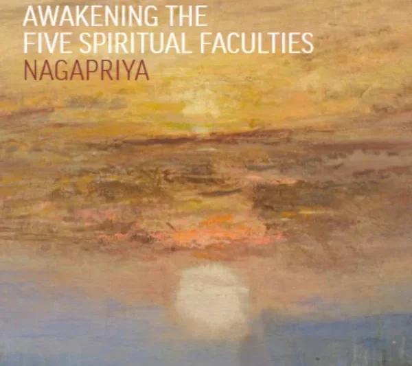 The Possibility of Amazement: Awakening the Five Spiritual Faculties
