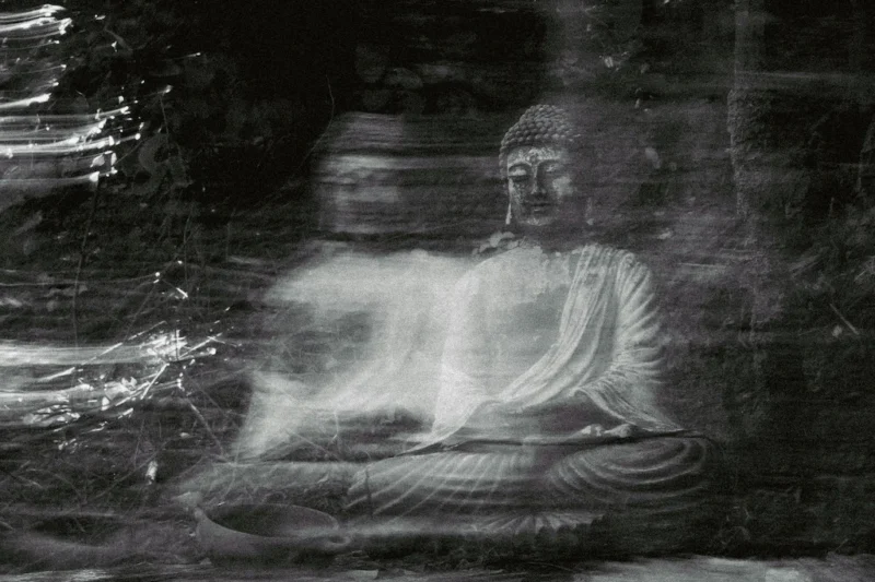 The Silent Interval: A Physician’s Journey Through Neuroplasticity and the Art of Being Present