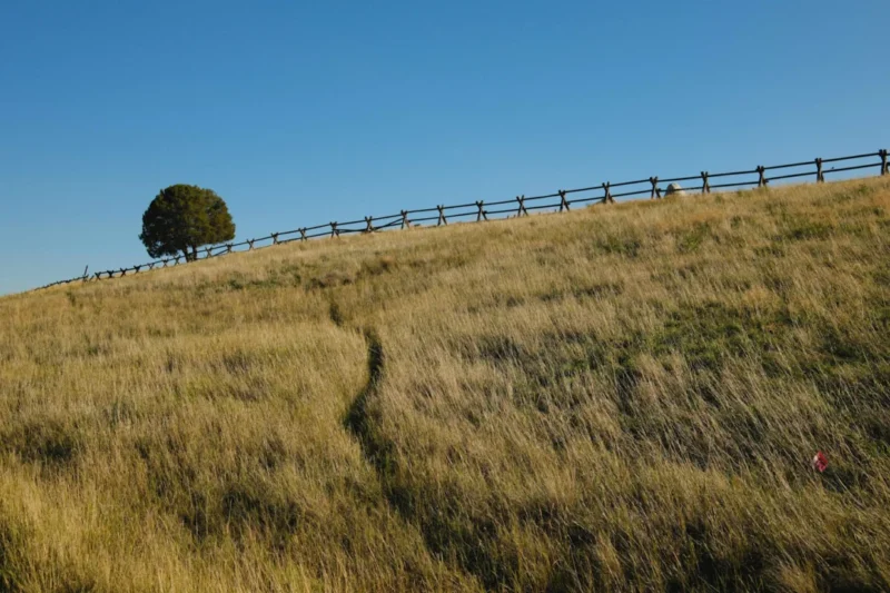 This Montana Lodge Makes It Easy To Eat Well, Get Outside & Actually Unplug