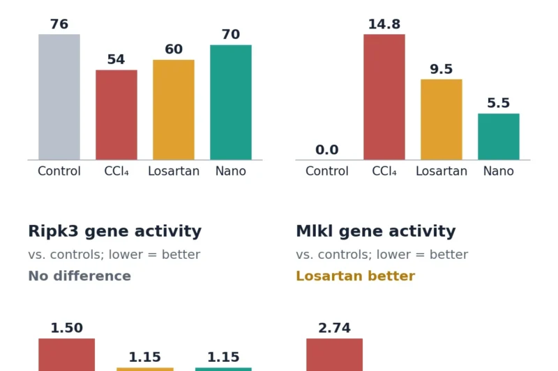 Experimental Losartan Treatment, Including Nanoparticle Formulation, Shows Promise in Reducing Toxin-Induced Cerebellar Damage in Rats