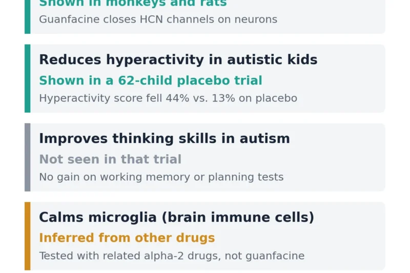 Guanfacine Eases Hyperactivity in Autism; Inflammation Theory Untested